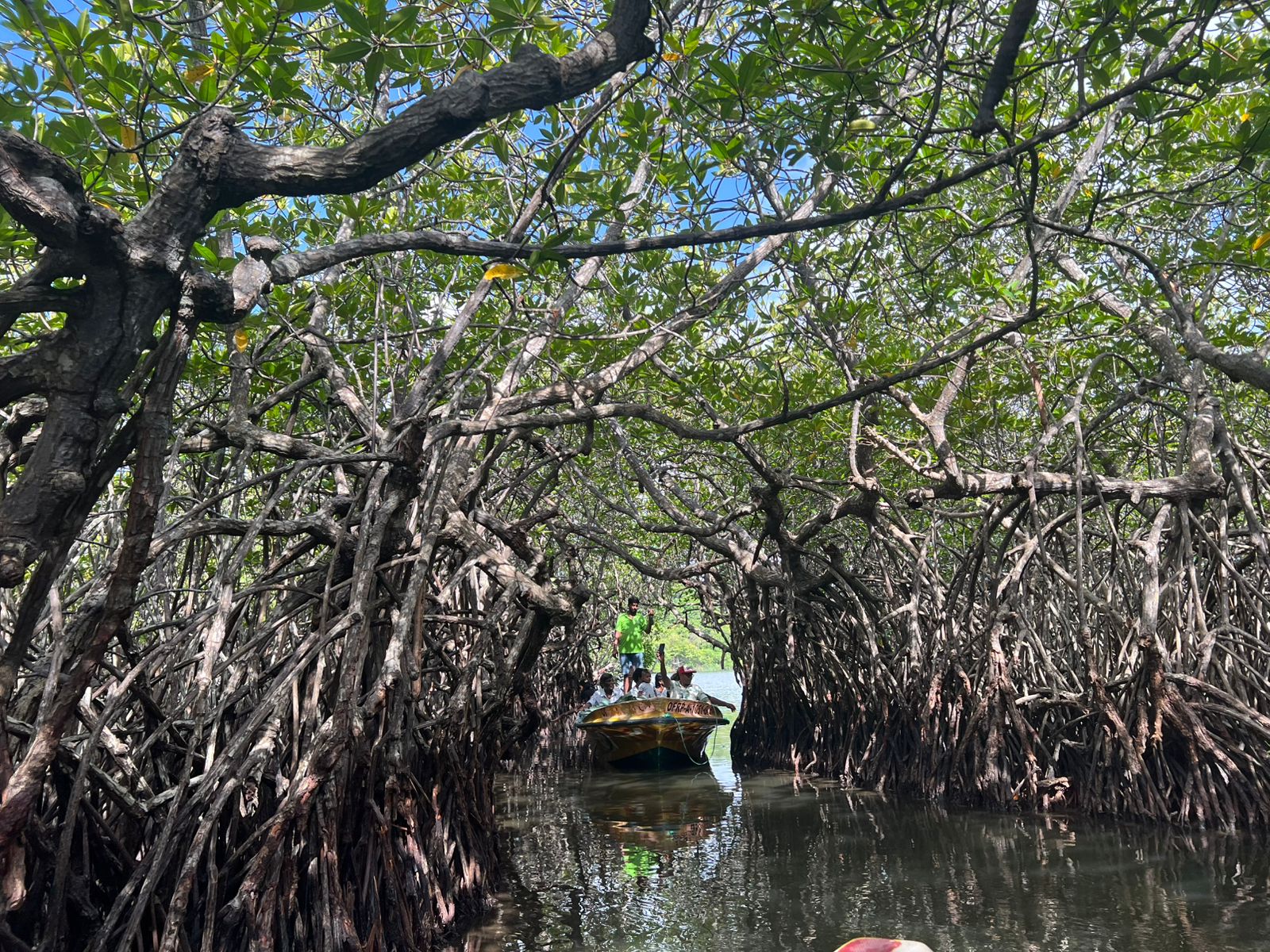 WhatsApp Image 2025-08-21 at 12.54.07.jpeg